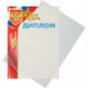 Обложки для переплета пластиковые прозрачные с рисунком А4 400 мкм 100 штук/упаковка