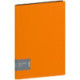 Папка с пружинным скоросшивателем Berlingo "Color Zone", 17мм, 1000мкм, оранжевая