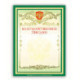 Грамота "Благодарственное письмо" А4, мелованный картон, зеленая, BRAUBERG, 122093