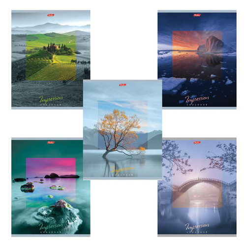 Тетрадь А5, 80 л., HATBER, скоба, клетка, обложка картон, "IMPRESSIONS" (5 видов), 80Т5В1, T242148