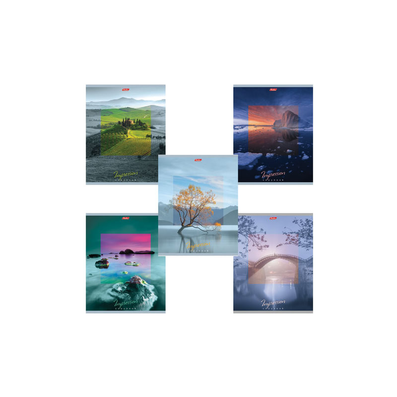 Тетрадь А5, 80 л., HATBER, скоба, клетка, обложка картон, "IMPRESSIONS" (5 видов), 80Т5В1, T242148