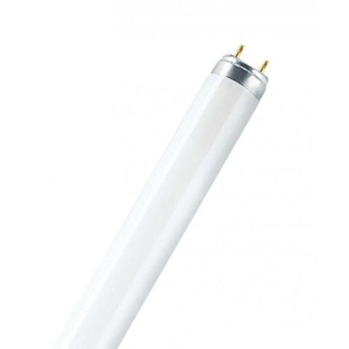 Лампа люминесцентная Osram Lumilux L 18 Вт цоколь G13 25 штук в упаковке холодный белый свет