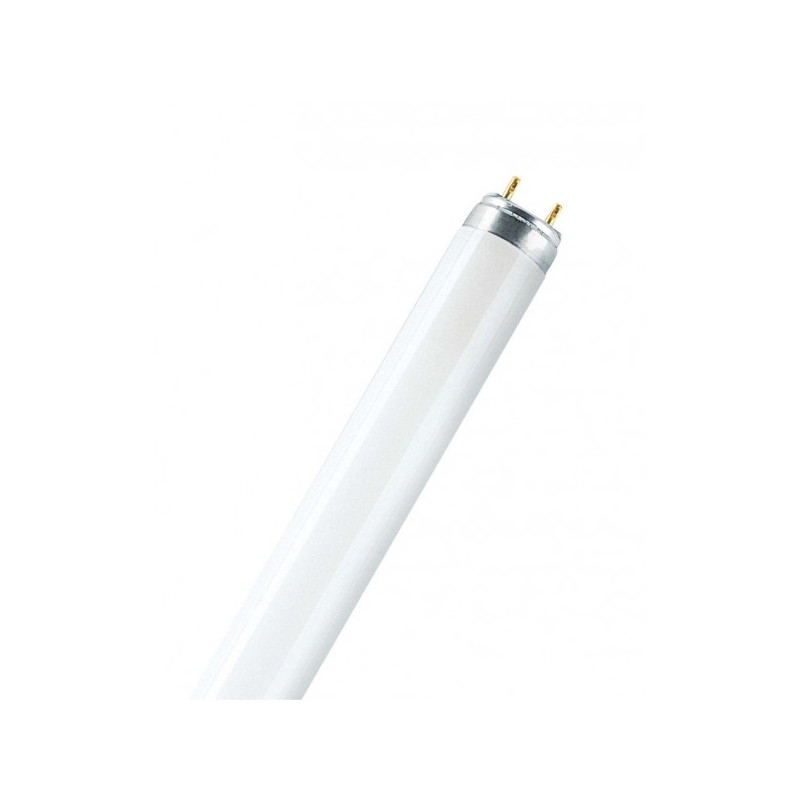 Лампа люминесцентная Osram Lumilux L 18 Вт цоколь G13 25 штук в упаковке холодный белый свет
