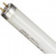 Лампа люминесцентная Osram L 36 Вт цоколь G13 25 штук в упаковке холодный белый свет
