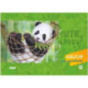 Альбом для рисования 40л. на склейке "Панда в гамаке", выб. уф-лак, блок - офсет 100г/м