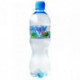 Вода минеральная Сенежская газированная 0.5 литра 12 штук в упаковке